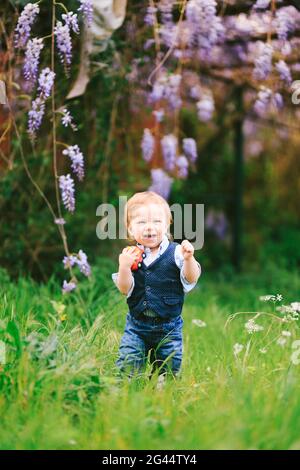 Red haired toddler is standing on a green grass with a wysteria tree in the background Stock Photo