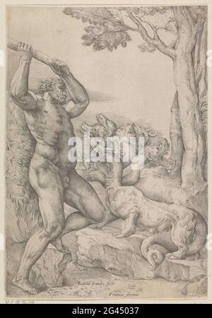 Hercules in battle with the Hydra of Lerna. Hercules, raised with knots above his head, battle with the six-member Hydra by Lerna. Stock Photo