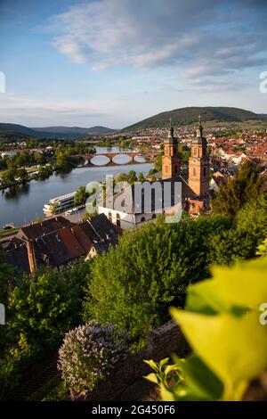 View from Mildenburg to St. Jakobus Church, old town and Main, Miltenberg, Spessart-Mainland, Franconia, Bavaria, Germany, Europe Stock Photo