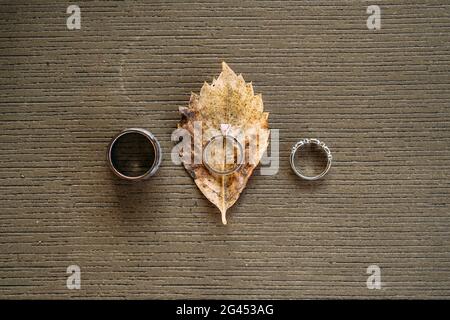 Wedding rings and bride's engagement ring on gray texture with yellow leaf of wood. Stock Photo