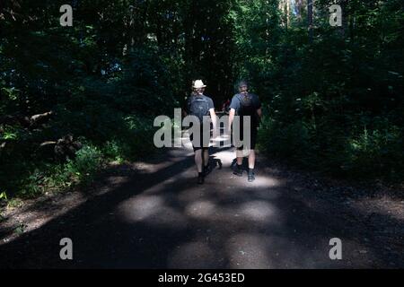 Berlin, Germany. 14th June, 2021. Two men hike through a forest in Grünau. (to dpa: 'Lonely times over: Corona trend hiking becomes more sociable') Credit: Paul Zinken/dpa-Zentralbild/dpa/Alamy Live News Stock Photo