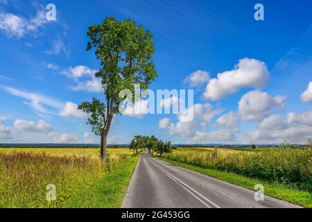 Asphalt road in the countryside Stock Photo