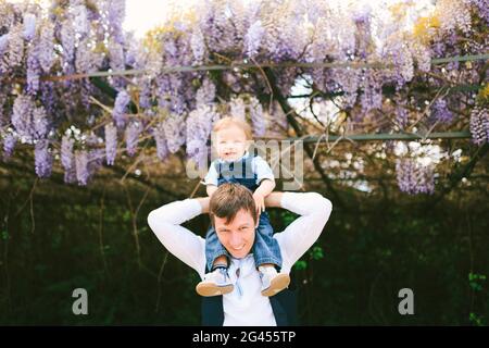 Baby boy is sitting on his dad's shoulders under a wysteria tree Stock Photo