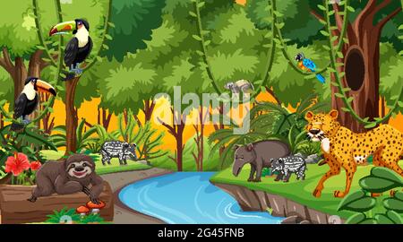 Forest at sunset time scene with different wild animals illustration ...