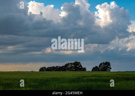 Outdoors, day light front view. Stock Photo