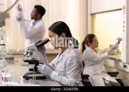Chinese female scientist looking in microscope in laboratory Stock Photo