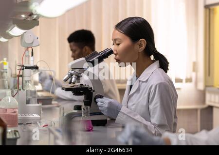 Young female scientist looking in microscope against male colleague in lab Stock Photo