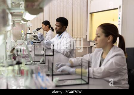 Young intercultural scientists in whitecoats working in laboratory Stock Photo
