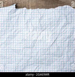 Crumpled white paper texture in a cage, blue lines, school notebook Stock Photo