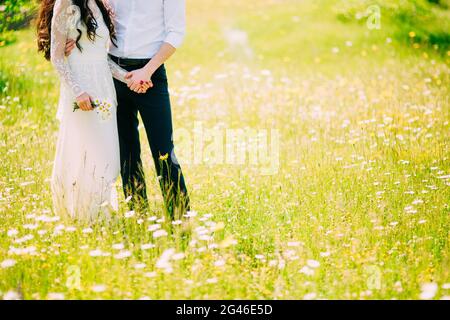 A couple is holding hands in a field with daisies. The newlyweds Stock Photo