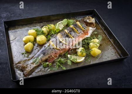 Traditional smoked and roasted char with boiled potatoes and lemon slices offered as close-up on a rustic metal tray Stock Photo