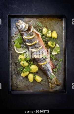 Traditional smoked and roasted char with boiled potatoes and lemon slices offered as top view on a rustic metal tray Stock Photo