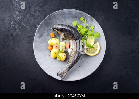 Modern style traditional steamed rainbow trout with boiled potatoes and carrot slices offered as top view on a design plate with Stock Photo