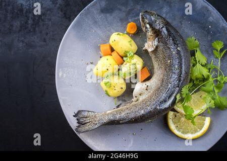Modern style traditional steamed rainbow trout with boiled potatoes and carrot slices offered as top view on a design plate with Stock Photo