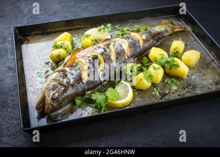 Traditional smoked and roasted char with boiled potatoes and lemon slices offered as close-up on a rustic metal tray Stock Photo