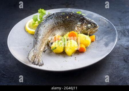 Modern style traditional steamed rainbow trout with boiled potatoes and carrot slices offered as close-up on a design plate Stock Photo