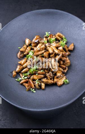 Traditional fresh fried baby king trumpet mushrooms with herbs offered as close-up in a cast-iron design plate Stock Photo