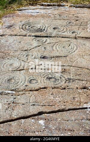 Cup and ring marked stones at Cairnbaan in Argyll, Scotland Stock Photo