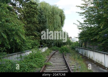 Countryside abandoned railroad with dense vegetation covering it Stock Photo