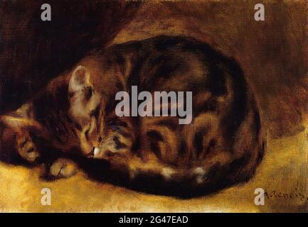 renoir sleeping cat