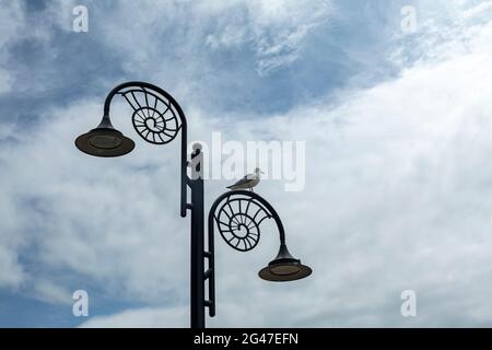 An Ammonite lamp post with a seagull on top.  Unusual street lights / lamps in Lyme Regis, The Jurassic Coast, Dorset, England, UK Stock Photo