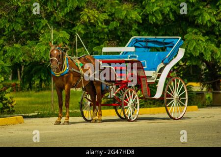 Horse and cart parked in a hotel car park at Playa Pesquero hotel in Holguin, Cuba waiting to take tourists on a ride Stock Photo