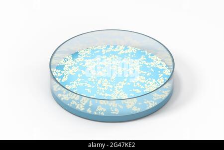 Laboratory petri dish icon outline vector. Health cell 14866358 Vector Art  at Vecteezy