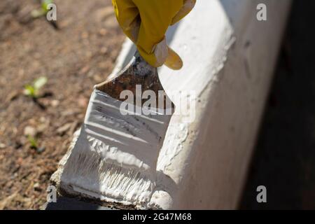 Paints The Kerb With White Paint Brush With Paint For The Road Curb Painting The Road The Man In The Glove Paints Stock Photo Alamy