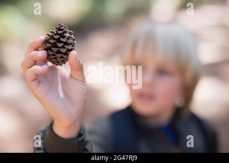 Boy holding pine cone in forest Stock Photo