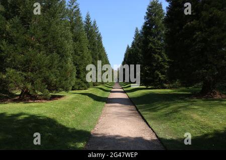 Long shot of a path into the distance surrounded by trees, Biddulph Grange, Staffordshire, UK Stock Photo