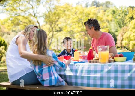 Happy family interacting with each other while having meal in park Stock Photo