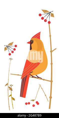 Red Cardinal Female siting on tree branch vector icon Stock Vector
