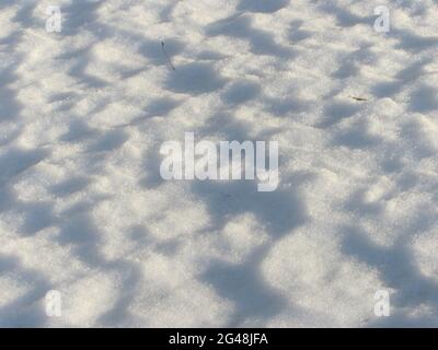 pure white snow: abstract background Stock Photo