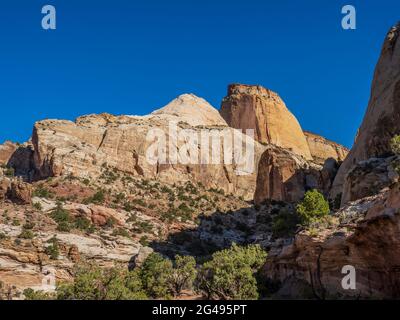 Golden Throne Trail, Capitol Gulch, Capitol Reef National Park, Torrey, Utah. Stock Photo