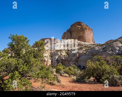 Golden Throne Trail, Capitol Gulch, Capitol Reef National Park, Torrey, Utah. Stock Photo