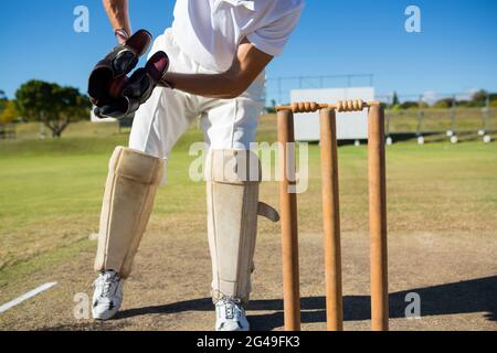 Low section of wicket keeper standing by stumps during match Stock Photo