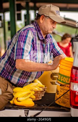 A farmer unloads yellow crookneck squash on the tailgate of his truck at the Hitching Lot Farmers Market, June 13, 2011, in Columbus, Mississippi. Stock Photo