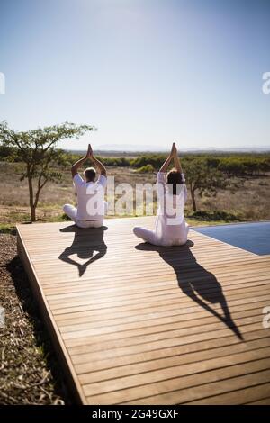 Rear view of couple practicing yoga on wooden plank Stock Photo