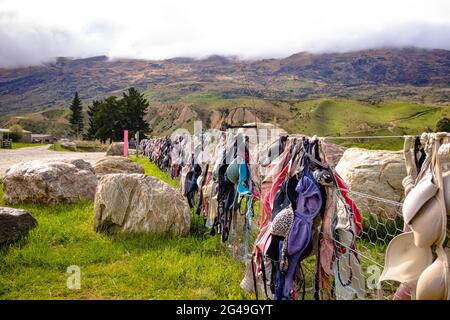 The famous Cardrona Bra Fence in Central Otago. Immediately outside the Cardrona Distillery Stock Photo
