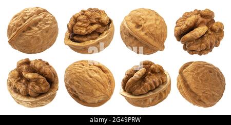 Walnuts isolated on white background with clipping path Stock Photo