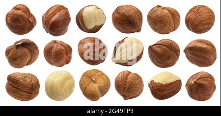 Hazelnuts isolated on white background, nuts collection Stock Photo