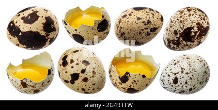 Fresh quail eggs isolated on white background Stock Photo