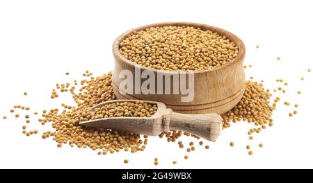 Yellow mustard seeds isolated on white background, with clipping path Stock Photo