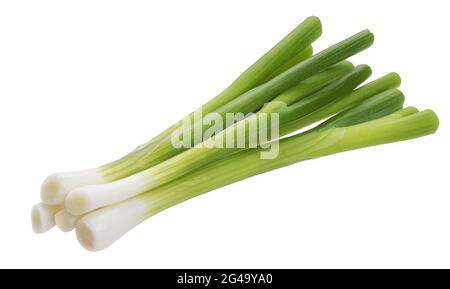 Green onion, fresh chives isolated on white background Stock Photo
