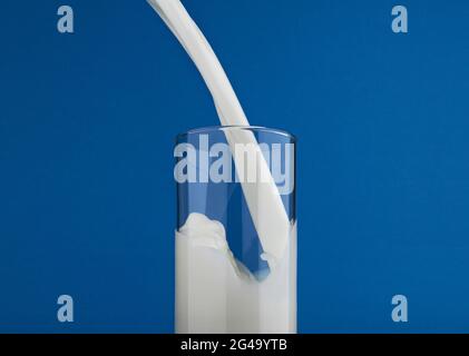 Pouring milk in glass isolated on blue background Stock Photo