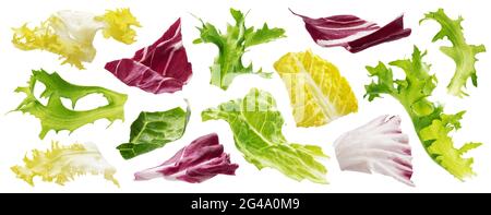 Mix of leaves with rucola, lettuce, radicchio, romano and green frize isolated on white background Stock Photo