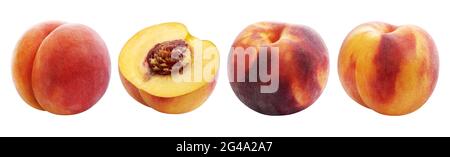 Peach collection isolated on white background with clipping path Stock Photo