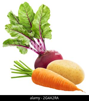 Fresh vegetables, heap of whole carrot, potato and beetroot isolated on white background Stock Photo