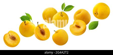 Falling yellow plums with leaves isolated on white background Stock Photo