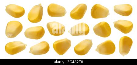 Fresh corn seeds isolated on white background with clipping path Stock Photo
